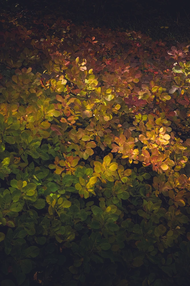 GIF uploaded by Martin