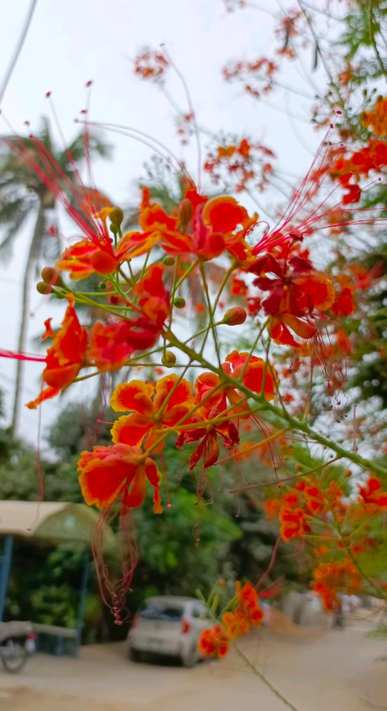𝑨𝒏𝒆𝒆𝒍.. نے GIF اپ لوڈ کی