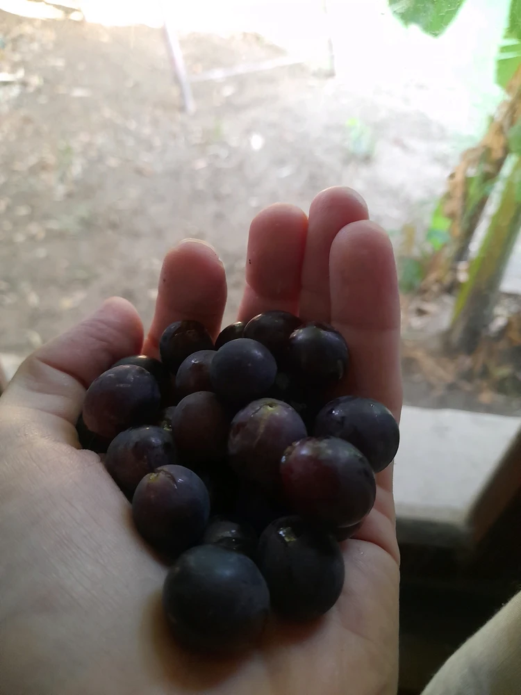 GIF încărcat de Hilal
