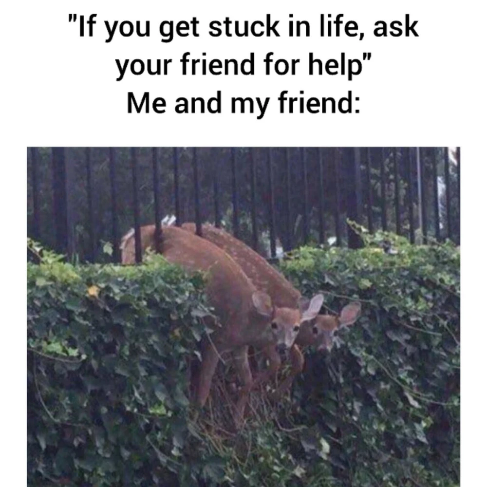 GIF качен от J is for Jaxy