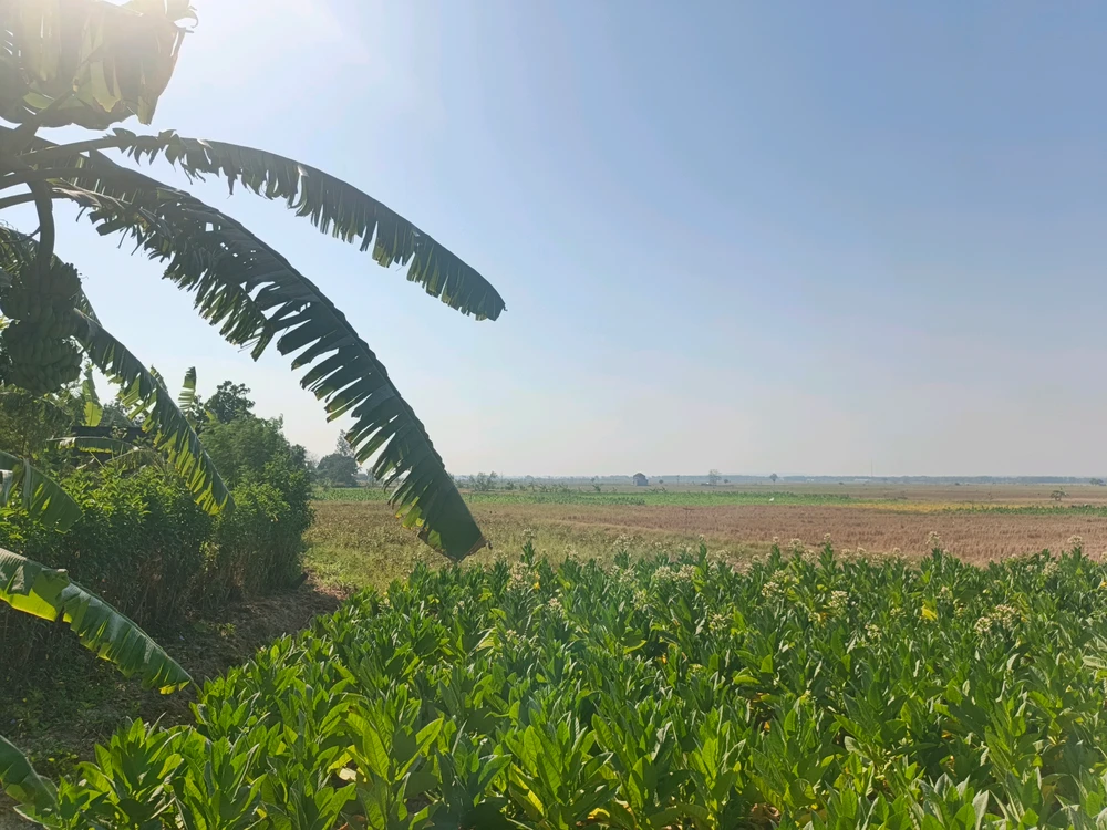 Didiy ಅಪ್‌ಲೋಡ್ ಮಾಡಿದ GIF