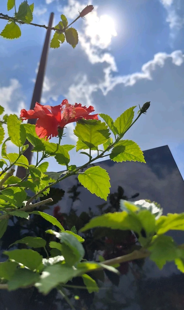 GIF napetrak'i 𝑨𝒏𝒆𝒆𝒍..