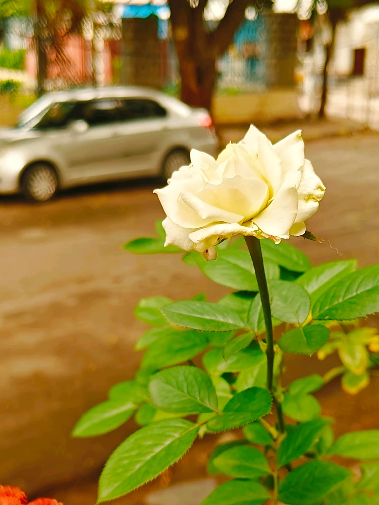 Gambar diunggah ku G Giri Charan