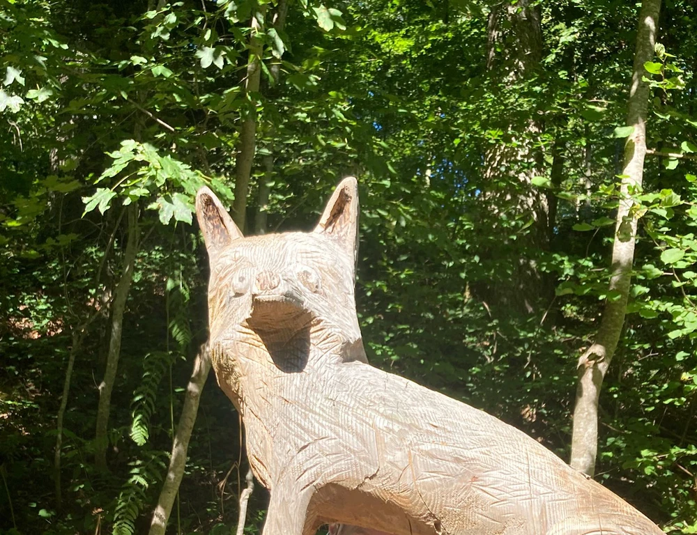 GIF uploaded by ℳℴ𝓇𝓃𝒾𝓃ℊ𝓈𝓉𝒶𝓇