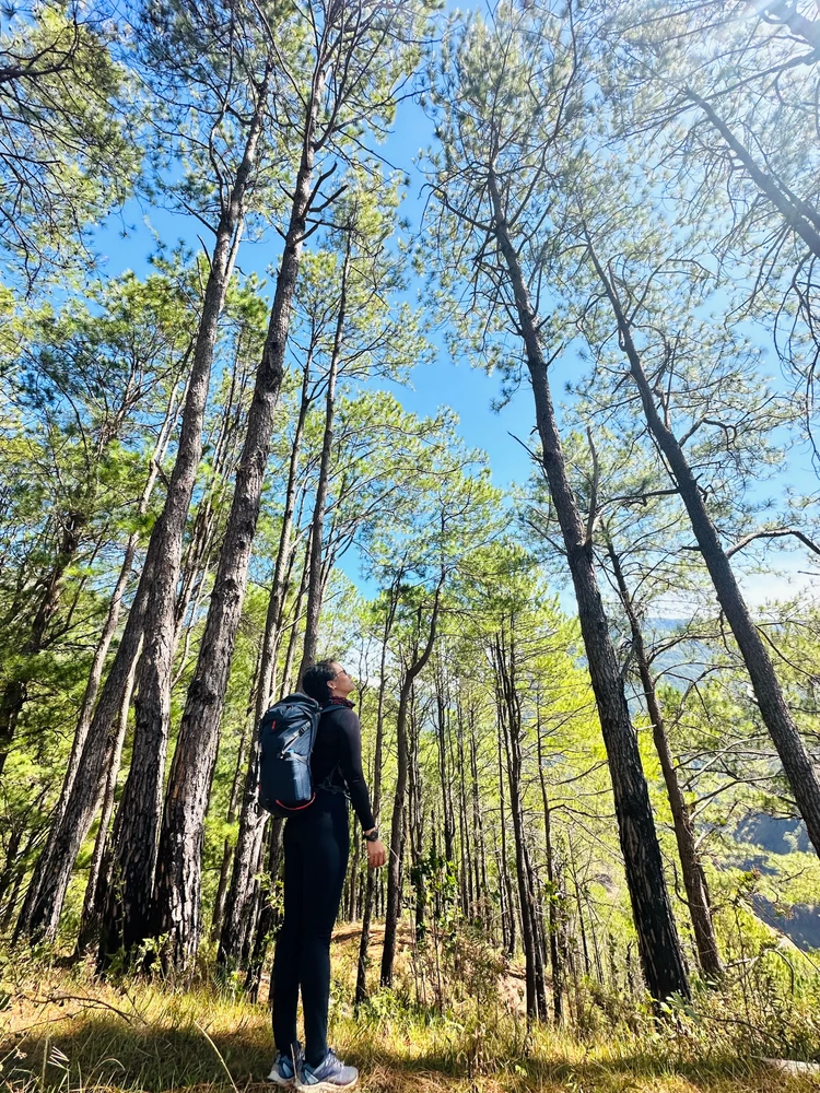 GIF uploaded by rea