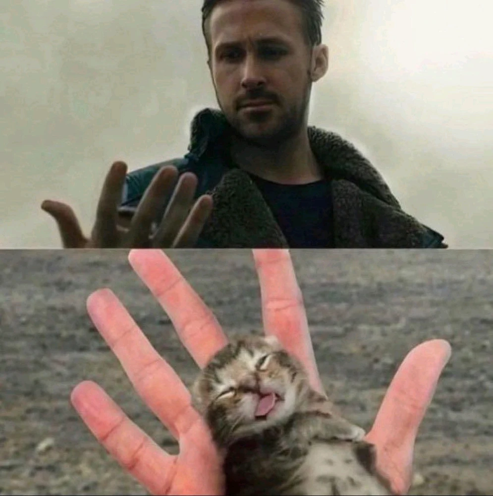 GIF hochgeladen von Terence