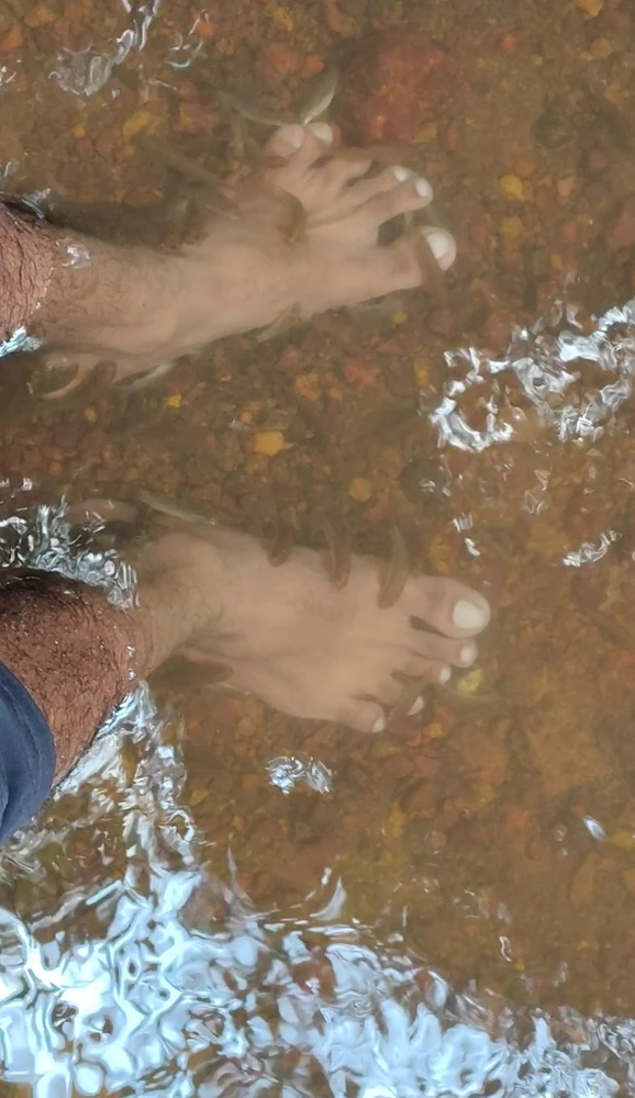 Natural Fish spa 😆