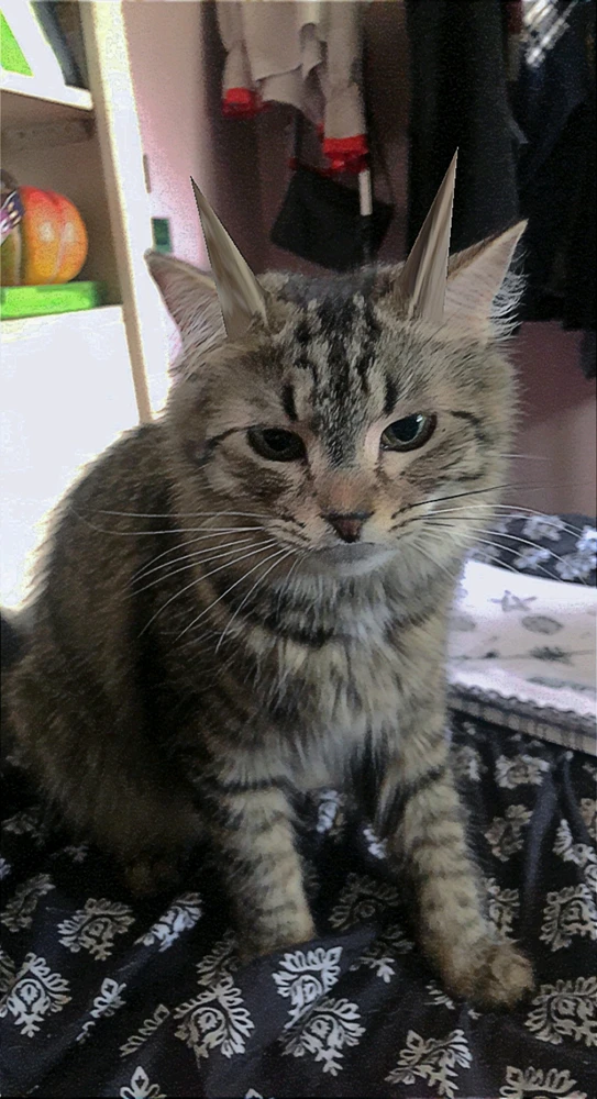 Immaġni mtellgħa minn Charlie