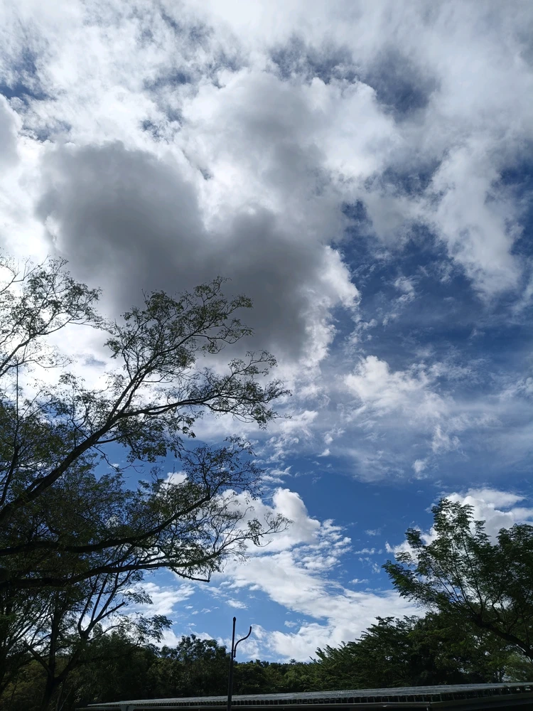GIF įkėlė Sunny