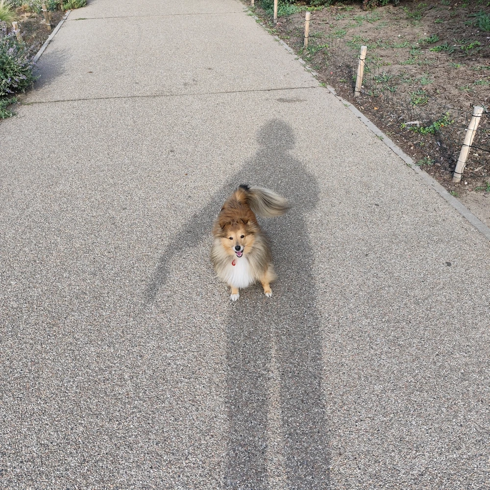 Maria님이 올린 사진