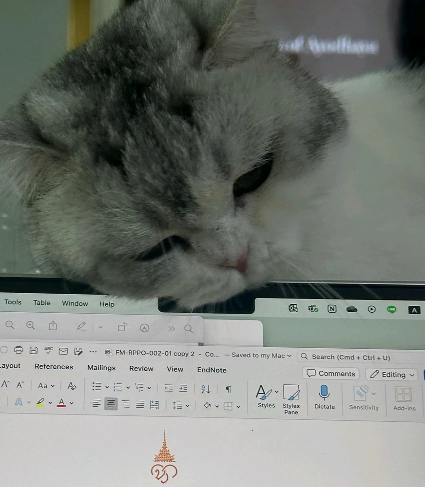 CH님이 올린 GIF