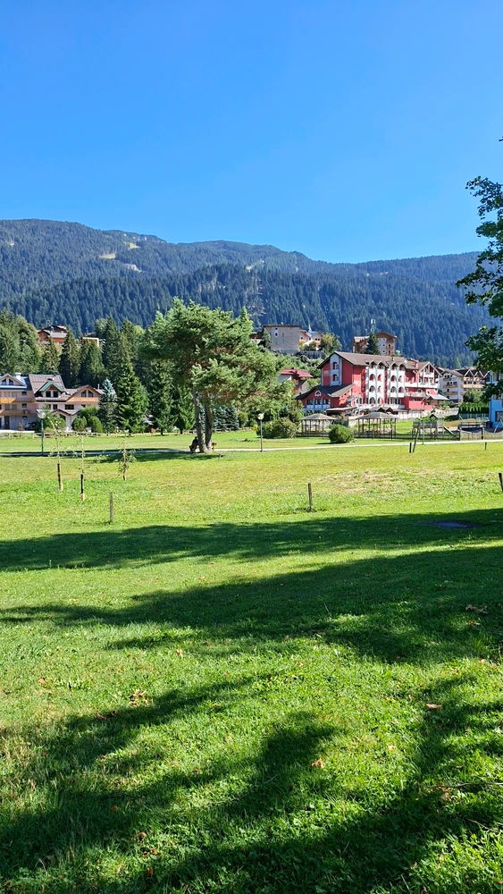 GIF eropgeluede vum Marco