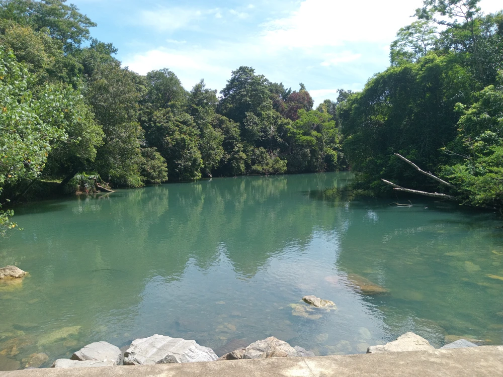 GIF uploaded by MARDHA