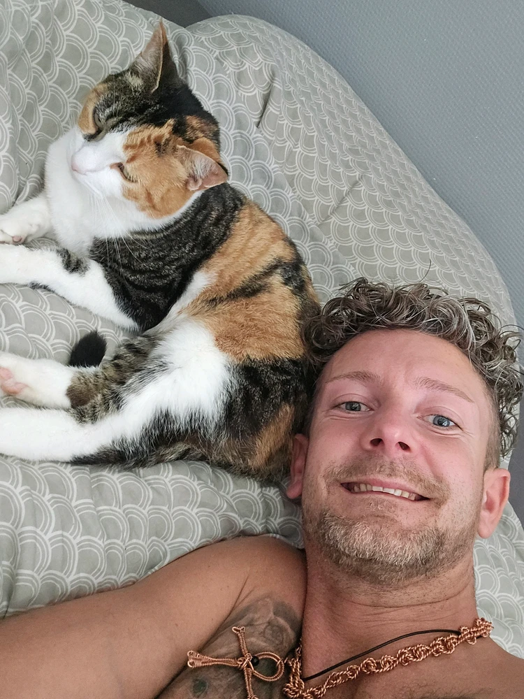GIF eropgeluede vum Simon