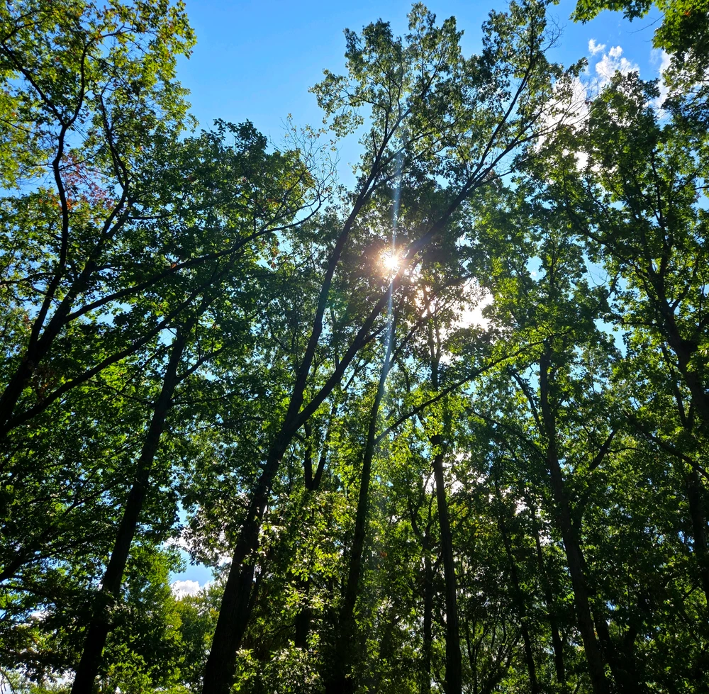 Mike ने अपलोड केलेली इमेज
