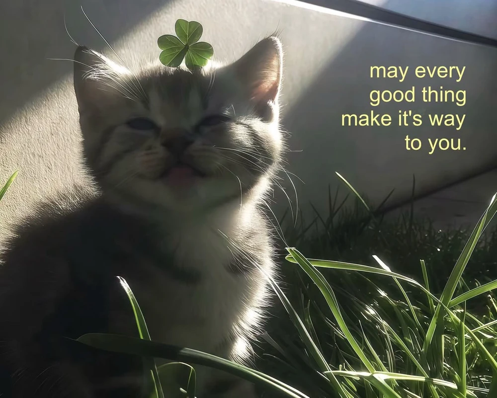 GIF pujat per Marianne