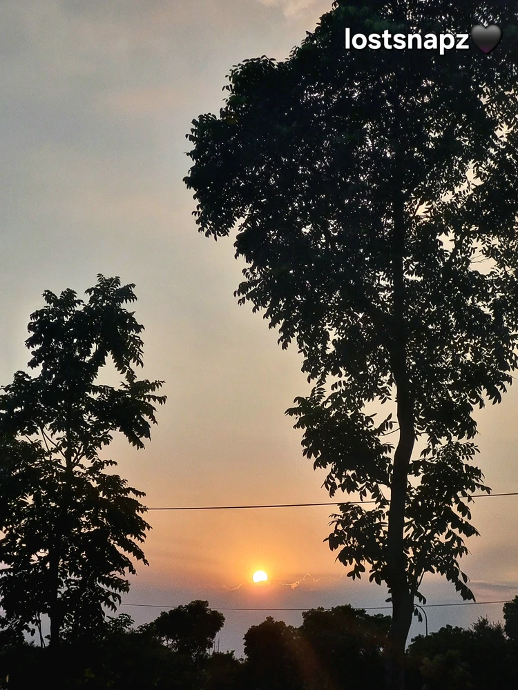 GIF được Zia_ tải lên