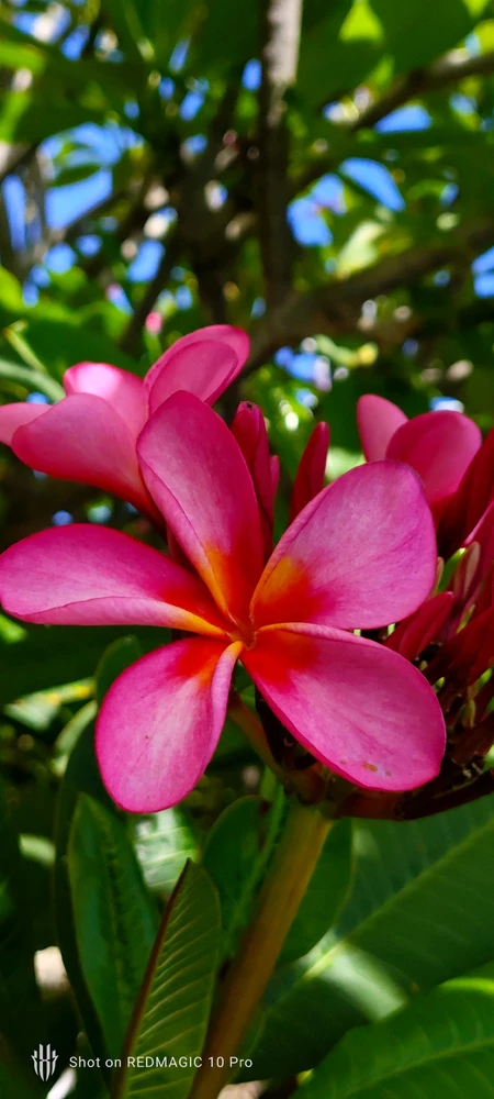 Image uploaded by Vikram