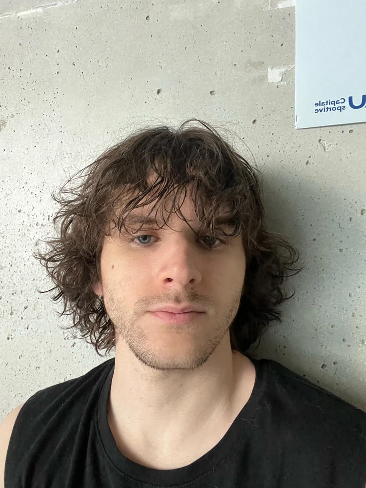 GIF nahrál Ludwig