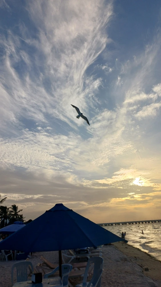 تصویر آپلود شده توسط Ash