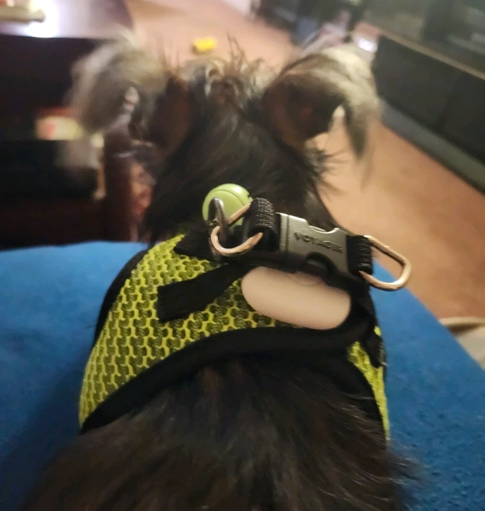 GIF hochgeladen von Elle