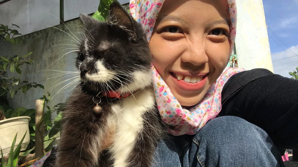 GIF dimuat naik oleh Areta
