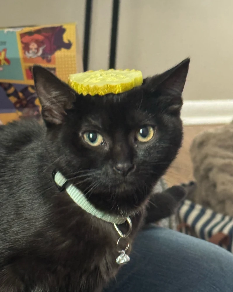 GIF загрузил Kevin