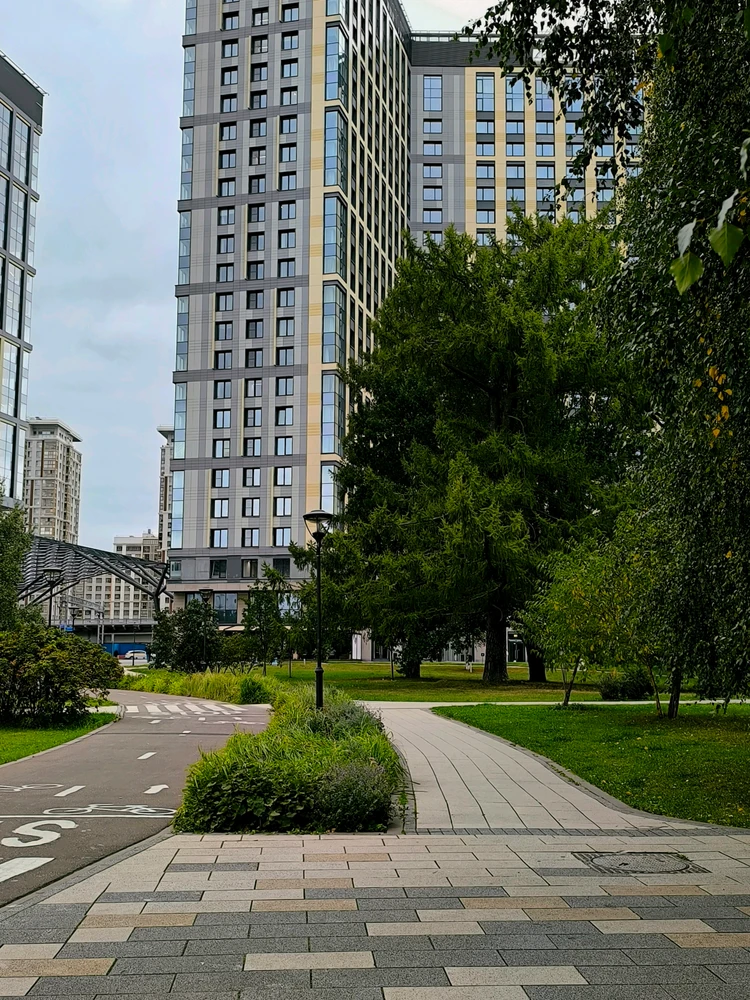 Enn上传的GIF