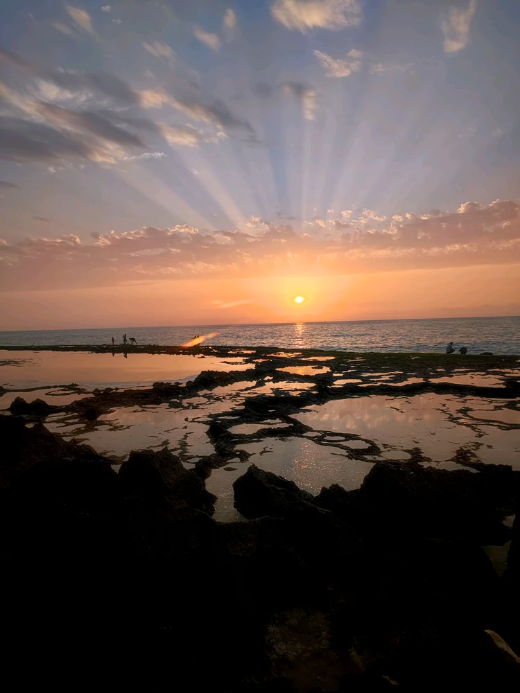 GIF uploaded by Ayoub