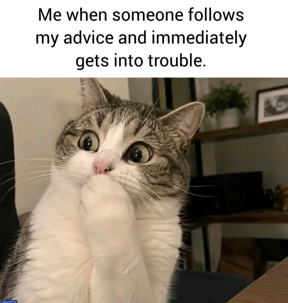 GIF imtella' minn Idta