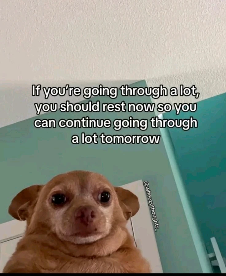 GIF diunggah ku Selyn