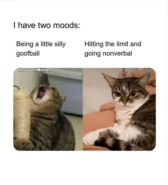 GIF imtella' minn Edison