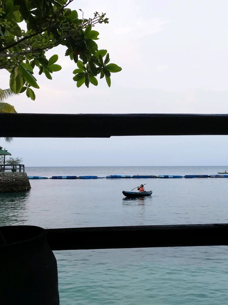 GIF uploaded by Minmin