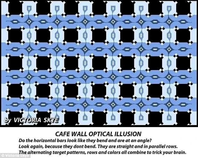 GIF nahrál ꁲꋊꂦꋊꐞꂵꂦꐇꌚ