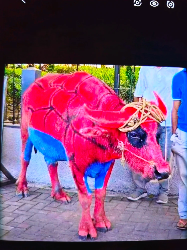 GIF učitao/la マリウス