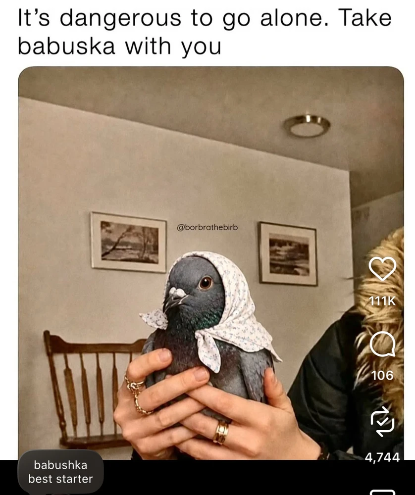GIF жүктеген Nick