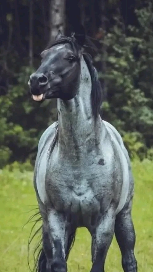 GIF yakaiswa naRobyn