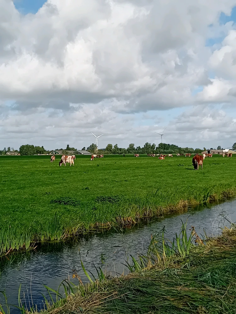 GIF uploaded by fab