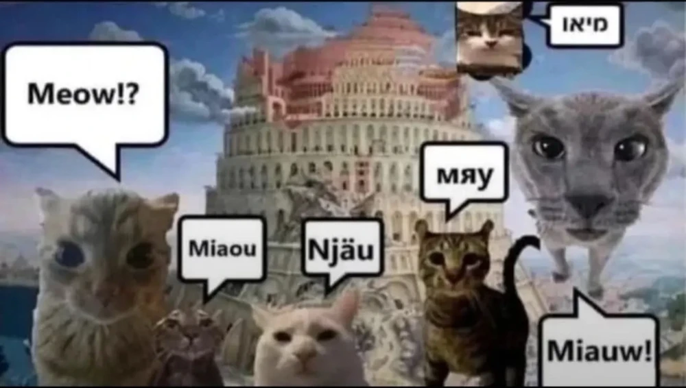 GIF učitao/la Nick