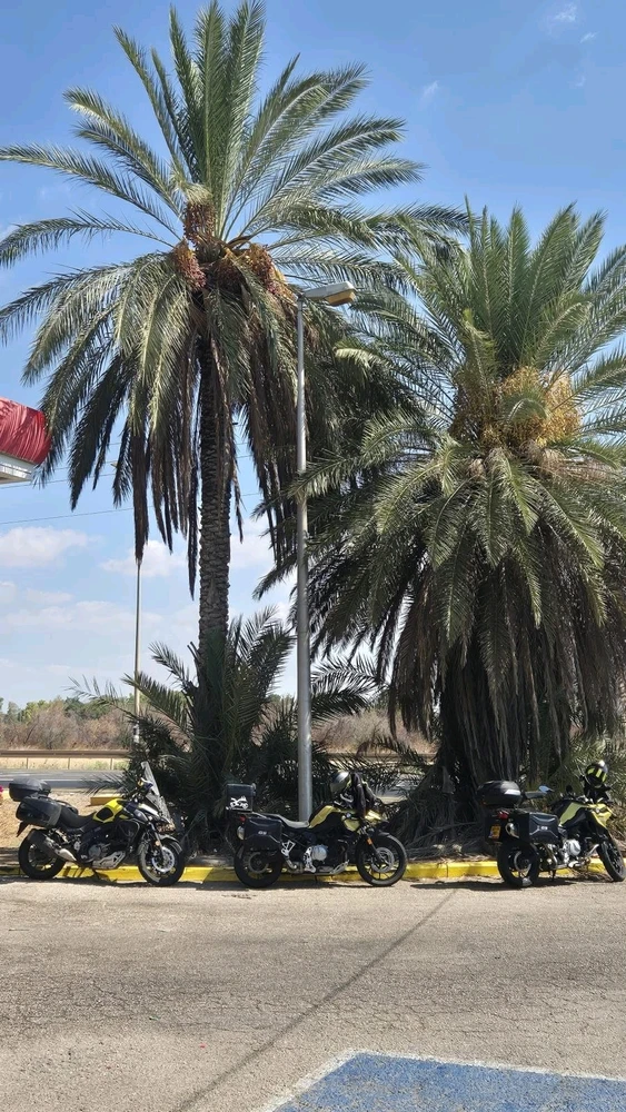 פלורין tarafından yüklenen görsel