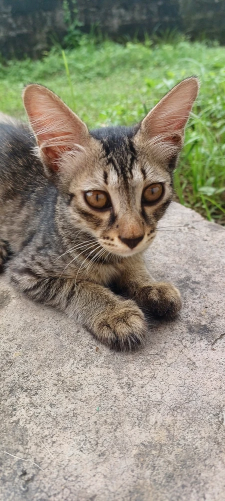 GIF uploaded by Diya