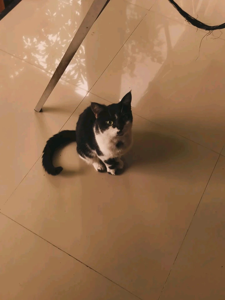 GIF uploaded by Nana