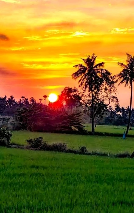 GIF uploaded by Chandra