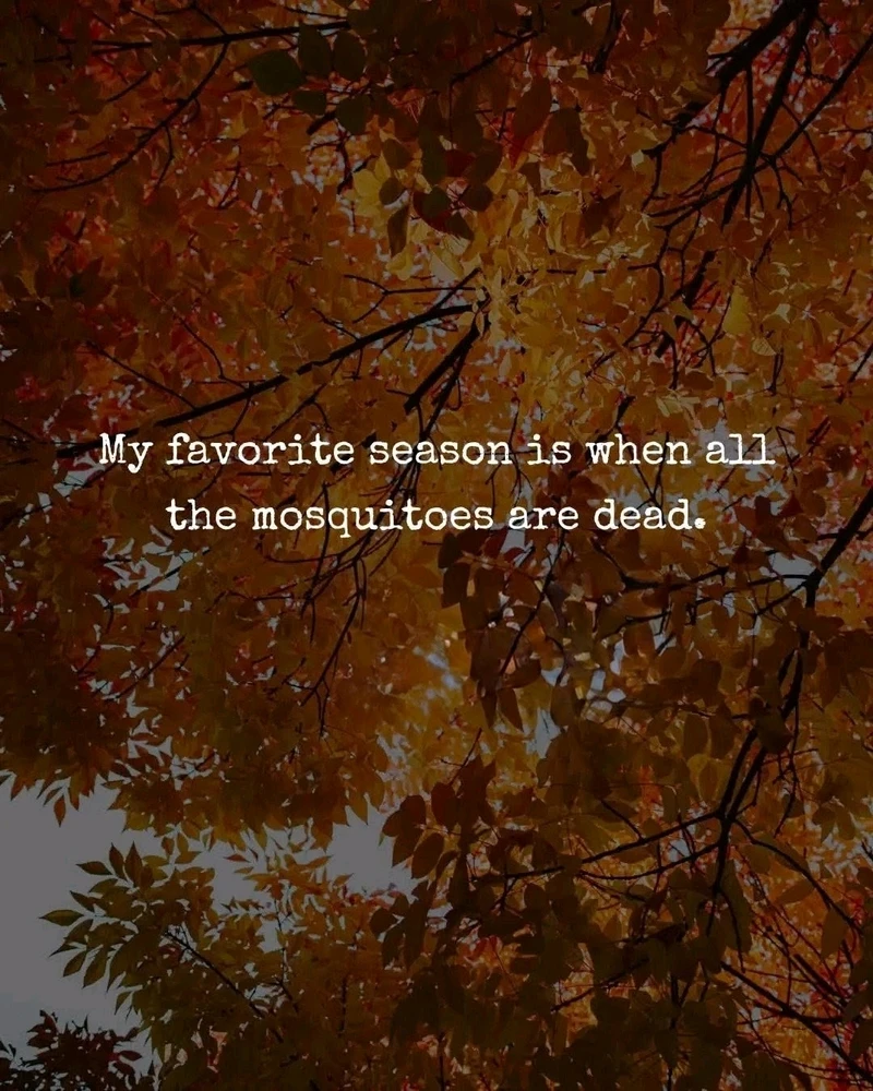 GIF uploaded by ❤ Sophia aka Mango Mami ❤️