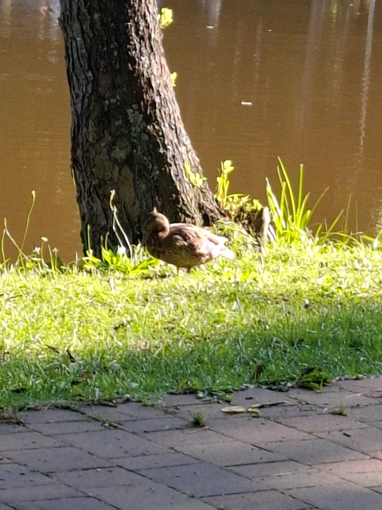 Sliku je postavio/la Xavier