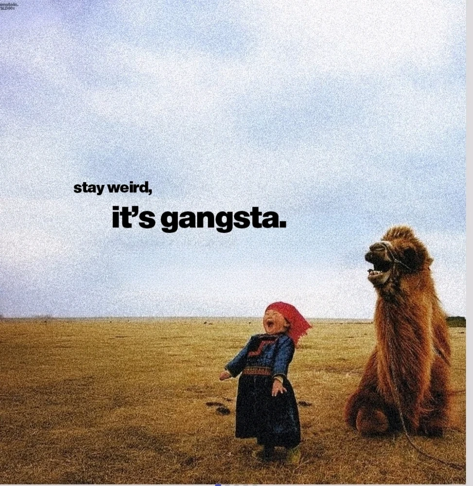 GIF uploaded by DP