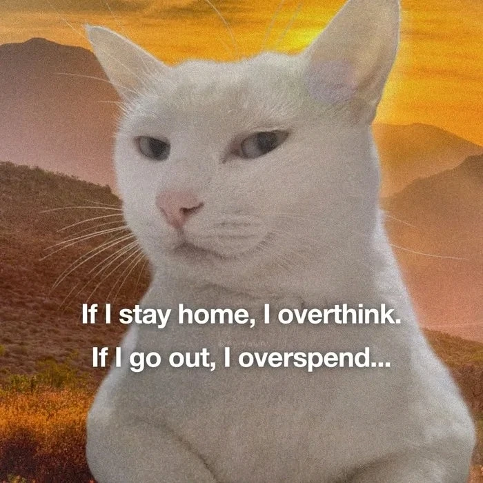 GIF yaikidwa ndi Sylvie