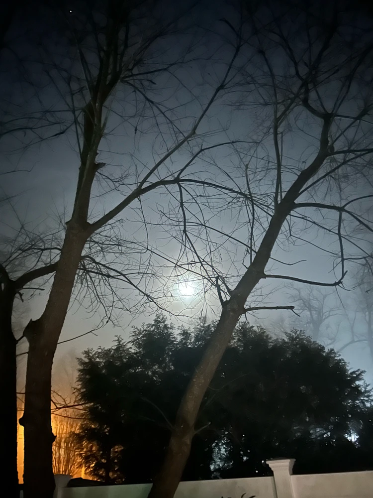 由Eric上传的图片
