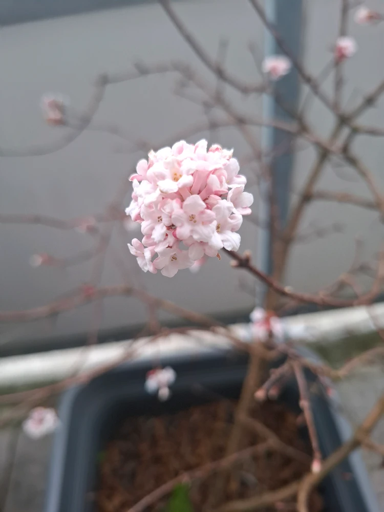 hana দ্বাৰা আপলোড কৰা ছবি
