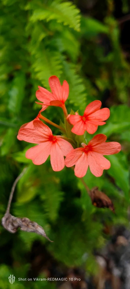 GIF uploaded by Vikram